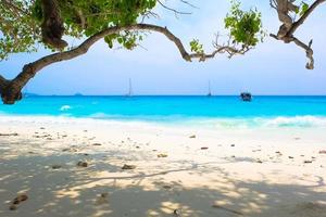 bela praia tropical com árvore e céu azul para viajar no tempo de relaxamento de férias foto