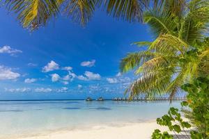 praia da ilha das maldivas. paisagem tropical areia branca com folhas de palmeira. destino de férias de viagens de luxo. paisagem de praia exótica. natureza incrível, relaxe, liberdade, fundo de natureza tranquila
