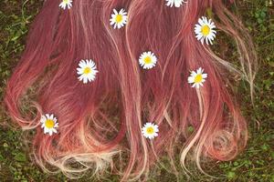 cabelo rosa saudável em um fundo de grama verde com flores de camomila foto