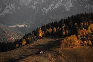 uma encantadora paisagem montanhosa nas montanhas bucegi, cárpatos, roménia. natureza de outono em moeciu de sus, transilvânia foto