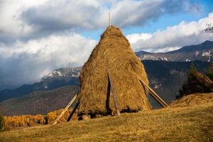 uma encantadora paisagem montanhosa nas montanhas bucegi, cárpatos, roménia. natureza de outono em moeciu de sus, transilvânia foto