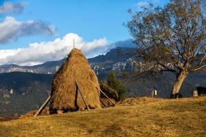 uma encantadora paisagem montanhosa nas montanhas bucegi, cárpatos, roménia. natureza de outono em moeciu de sus, transilvânia foto