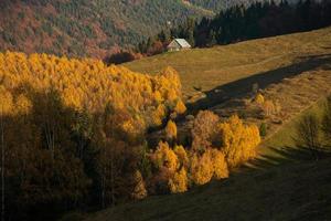 uma encantadora paisagem montanhosa nas montanhas bucegi, cárpatos, roménia. natureza de outono em moeciu de sus, transilvânia foto