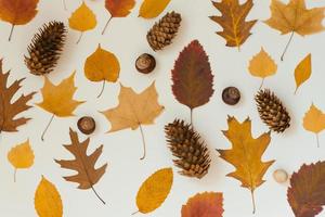 folhas de outono caídas, localizadas uma ao lado da outra em um fundo bege. espaço de cópia foto