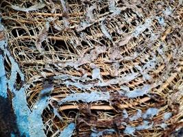 close-up de uma estrutura de fibra de coco, filmada em uma árvore de fibra de coco, fundo natural marrom para consumo e produção ambiental. comumente usado para assentos de carro, colchões foto