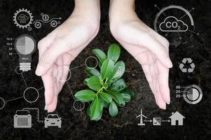 fechar a mão da mulher segurando a planta, sustentável ecológico, salvar a terra, conceito futurista foto