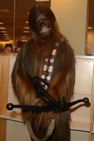 los angeles, 28 de novembro - chewbacca na sessão de autógrafos da princesa diarista em barnes e nobre em 28 de novembro de 2016 em los angeles, ca foto