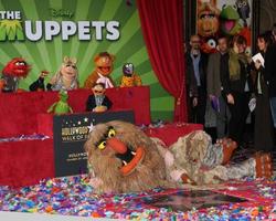los angeles, 20 de março - muppets na cerimônia de estrelas da calçada da fama de hollywood para os muppets no teatro el capitan em 20 de março de 2012 em los angeles, ca foto