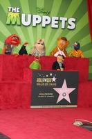 los angeles, 20 de março - muppets na cerimônia de estrelas da calçada da fama de hollywood para os muppets no teatro el capitan em 20 de março de 2012 em los angeles, ca foto