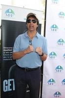 los angeles, 10 de novembro - ray romano no terceiro clássico anual de golfe de celebridades para beneficiar a fundação de pesquisa de melanoma no clube de golfe à beira do lago em 10 de novembro de 2014 em burbank, ca foto