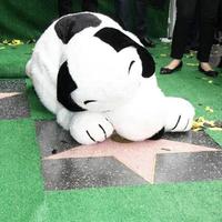 los angeles, 2 de novembro - snoopy, com sua estrela wof e a estrela wof de charles schultz na cerimônia da Calçada da Fama de snoopy hollywood na Calçada da Fama de Hollywood em 2 de novembro de 2015 em los angeles, ca foto