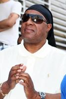 los angeles, 31 de maio - stevie wonder na cerimônia de estrela da caminhada da fama de david hollywood em hollywood na construção de registros da capital em 31 de maio de 2013 em los angeles, ca foto