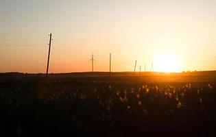 campo e linhas telefônicas durante o nascer do sol foto