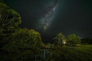 árvores verdes sob a noite estrelada foto