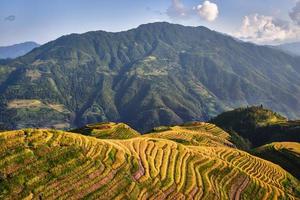 arrozais terraços wengjia longji longsheng hunan china