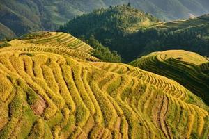 arrozais terraços wengjia longji longsheng hunan china