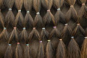 cabelo de cavalo. padrão de cabelo. crina de cavalo. pequenos elásticos para penteado. foto