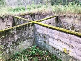 cimento de concreto velho fundação subterrânea inacabada de um edifício arruinado coberto de musgo verde foto