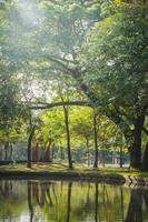 vista do parque público com lago foto