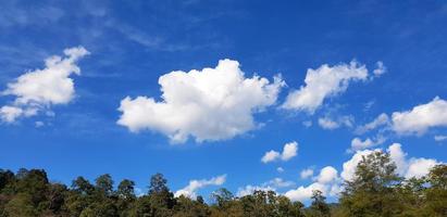 lindo céu azul com nuvem branca e árvore verde, floresta ou selva com espaço policial acima para adicionar texto. beleza da natureza e papel de parede natural. ar fresco e vista cloudscape. foto