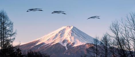 paisagem da montanha fuji com guindaste de coroa vermelha voando no céu azul, conceito de viagem no japão. foto