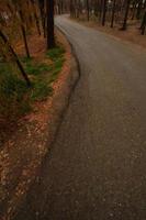 estrada pavimentada na temporada de outono foto