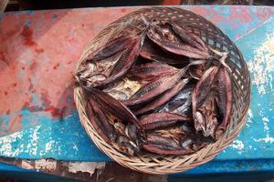 ikan asin ou peixe salgado. peixe salgado, como arenque kipper ou bacalhau seco e salgado, é peixe curado com sal seco e, portanto, preservado para consumo posterior. foto