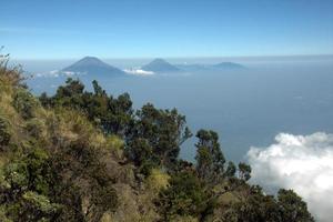 vista da trilha de caminhada da montanha merbabu. java central, indonésia foto