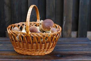 cogumelos comestíveis porcini na cesta de vime no fundo de madeira foto