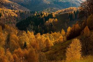 uma encantadora paisagem montanhosa nos cárpatos, romênia. natureza do outono em brasov, europa foto