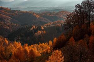 uma encantadora paisagem montanhosa nos cárpatos, romênia. natureza do outono em brasov, europa foto