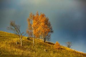 uma encantadora paisagem montanhosa nos cárpatos, romênia. natureza do outono em brasov, europa foto