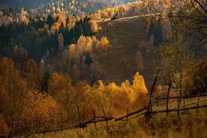 uma encantadora paisagem montanhosa nos cárpatos, romênia. natureza do outono em brasov, europa foto