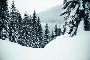 paisagem de inverno nevado foto