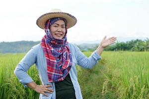 agricultora asiática está em terras agrícolas, usa chapéu, cabeça coberta com tanga tailandesa, camisa azul e faz gesto com a mão para apresentar algo. conceito, ocupação agrícola. agricultor com arroz orgânico. foto