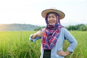 feliz agricultora asiática está no campo de arroz, usa chapéu e coloca as mãos nos quadris, polegares para cima, sente-se confiante. conceito, ocupação agrícola. agricultor com arroz orgânico. foto