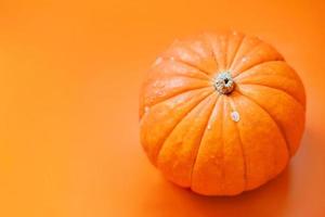 abóbora decorativa isolada em fundo laranja. vista do topo. foto