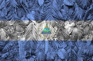 bandeira da nicarágua retratada em muitas folhas de palmeiras monstera. pano de fundo na moda foto