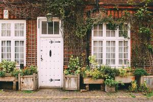 Londres, Inglaterra, 2020 - plantas variadas na frente de uma casa foto