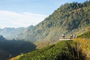 chiangmai, tailândia, turistas esperam o nascer do sol no ponto de vista de doi ang khang em 16 de janeiro de 2016. doi ang khang é uma montanha famosa no distrito de fang, província de chiang mai, tailândia. foto