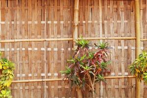 parede de bambu com linda flor e vegetação foto