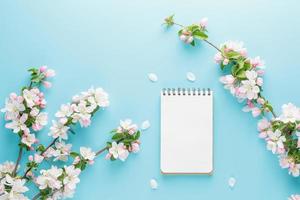 sakura de primavera florescendo em um fundo azul com espaço de bloco de notas para uma mensagem de saudação. o conceito de primavera e dia das mães. lindas flores delicadas de cerejeira rosa na primavera foto