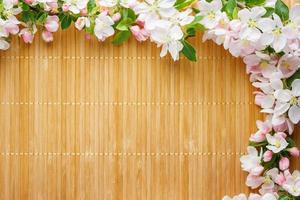quadro de flores da primavera de sakura em fundo de bambu. linda flor de cerejeira sakura na primavera foto