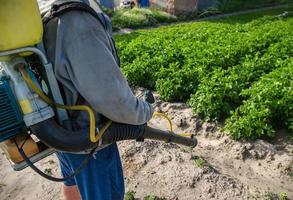 agricultor com uma máquina de pulverização no fundo da plantação de batata. uso de fungicidas e pesticidas para proteção de plantas cultivadas contra insetos e infecções fúngicas. proteção de cultivos, impacto ambiental foto