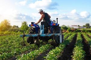 o agricultor trabalha no campo com um trator. agroindústria e agronegócio. máquinas agrícolas. arar e afrouxar o solo. cuidados com as culturas, melhoria da qualidade do solo. cultivo de trabalho de campo agrícola. foto