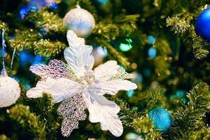 flor de natal prateada em galho de árvore. foto