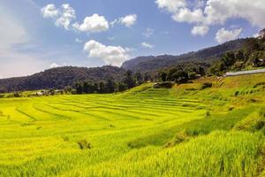 campo de arroz verde em socalcos em mae klang luang foto
