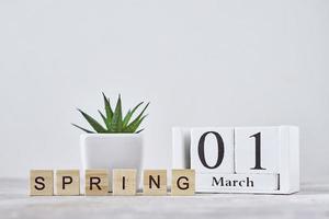 calendário de blocos de madeira com data 1 de março e planta em cima da mesa. conceito de primavera foto