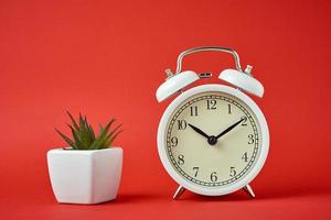 despertador retrô branco e planta de casa no fundo vermelho foto