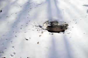 cobertura metálica de um esgoto ou dreno, entre os montes de neve, em um dia ensolarado. foto